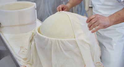 Parmigiano Reggiano blanc de Modenese biologique 'Vacche Bianche' 