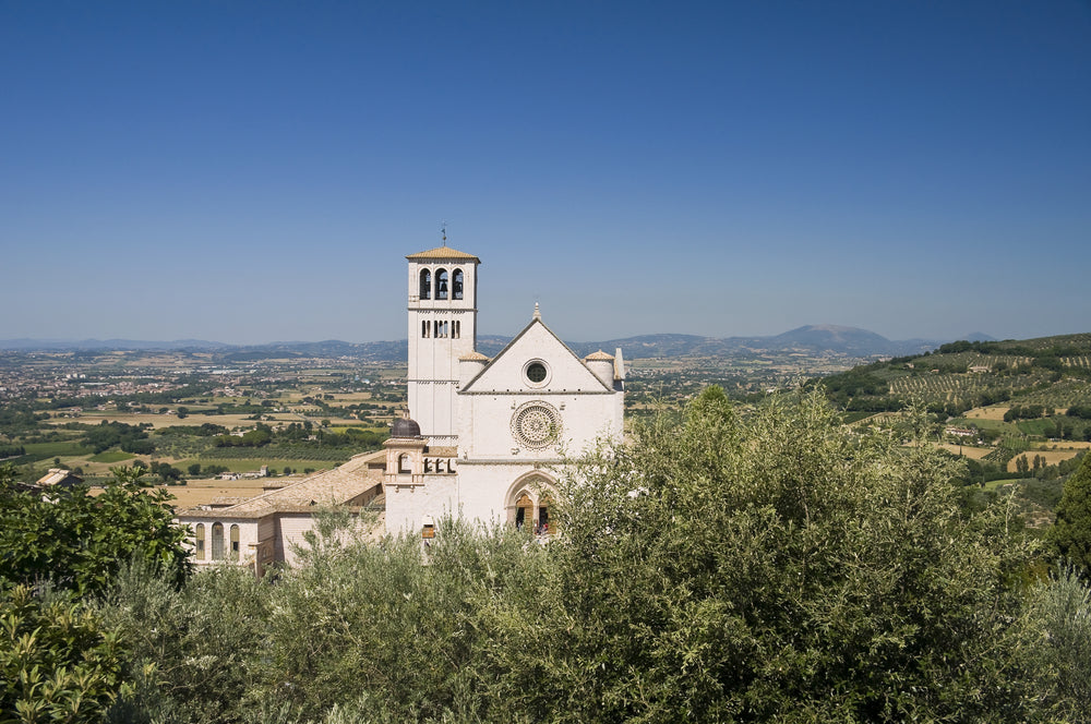 DOP Ombrie MARFUGA RISERVA Colli Assisi – Spolète