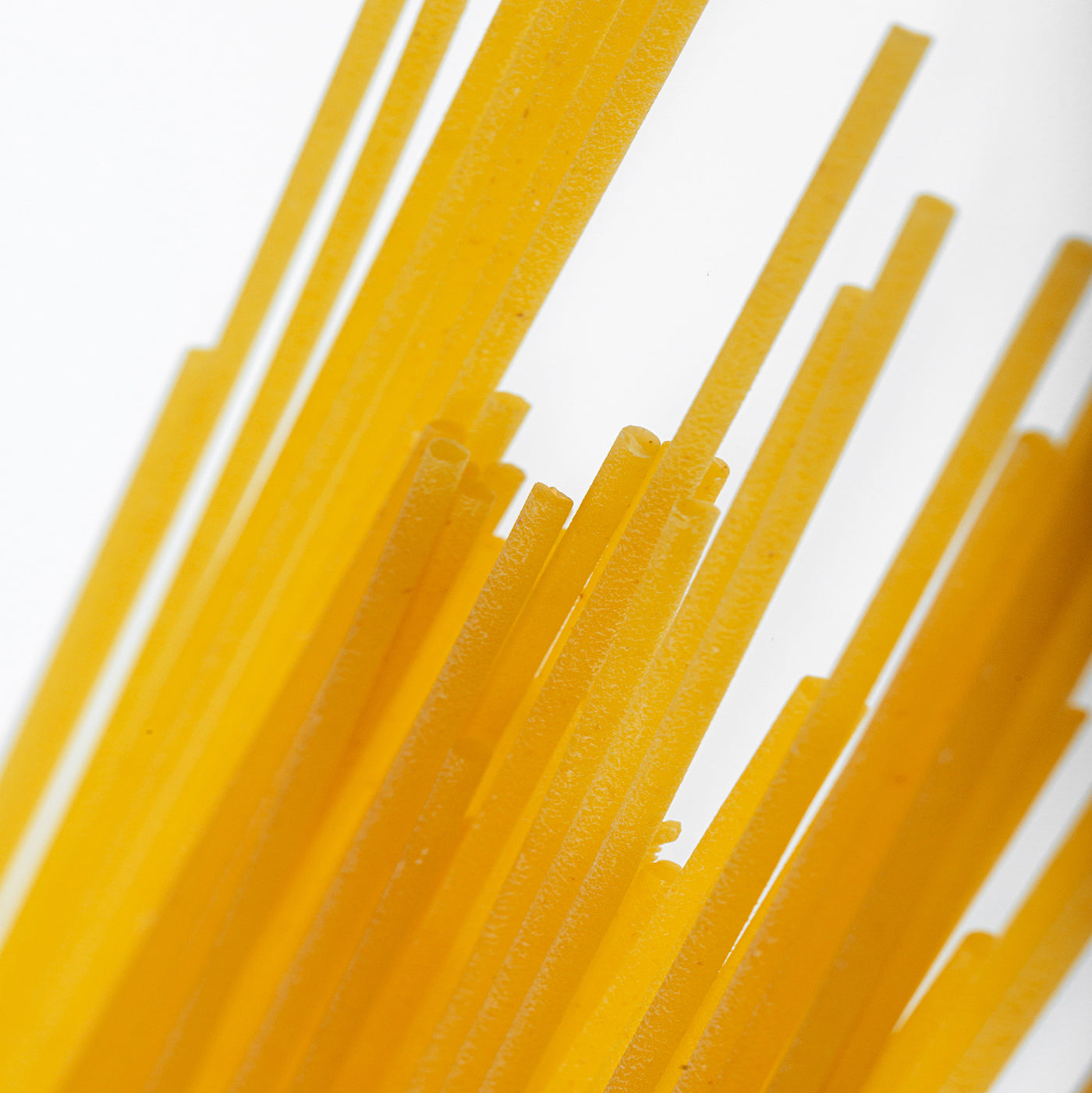 Coffret Spaghetti Cipriani Bio N.3 : Pâtes Artisanales Bio d'Italie